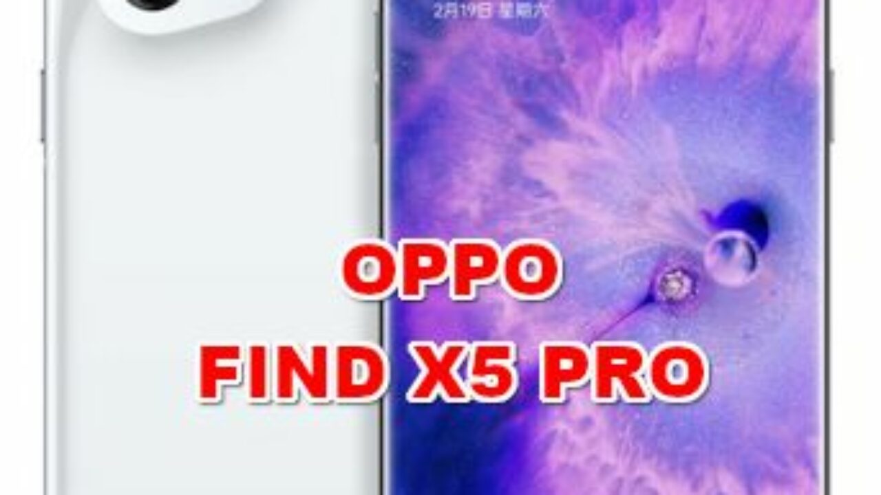 Fundas Oppo Find X5 Pro - Dealy